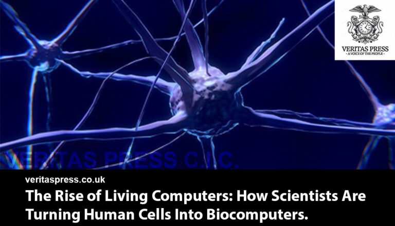 The Rise of Living Computers: How Scientists Are Turning Human Cells Into Biocomputers.