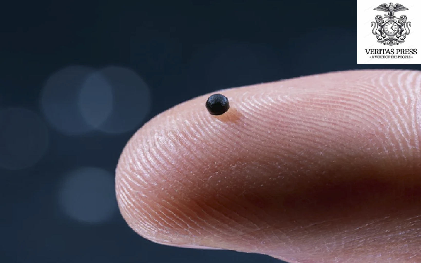 This Magnet-Powered Micro-Robot Could Soon Swim Through Your Bloodstream.