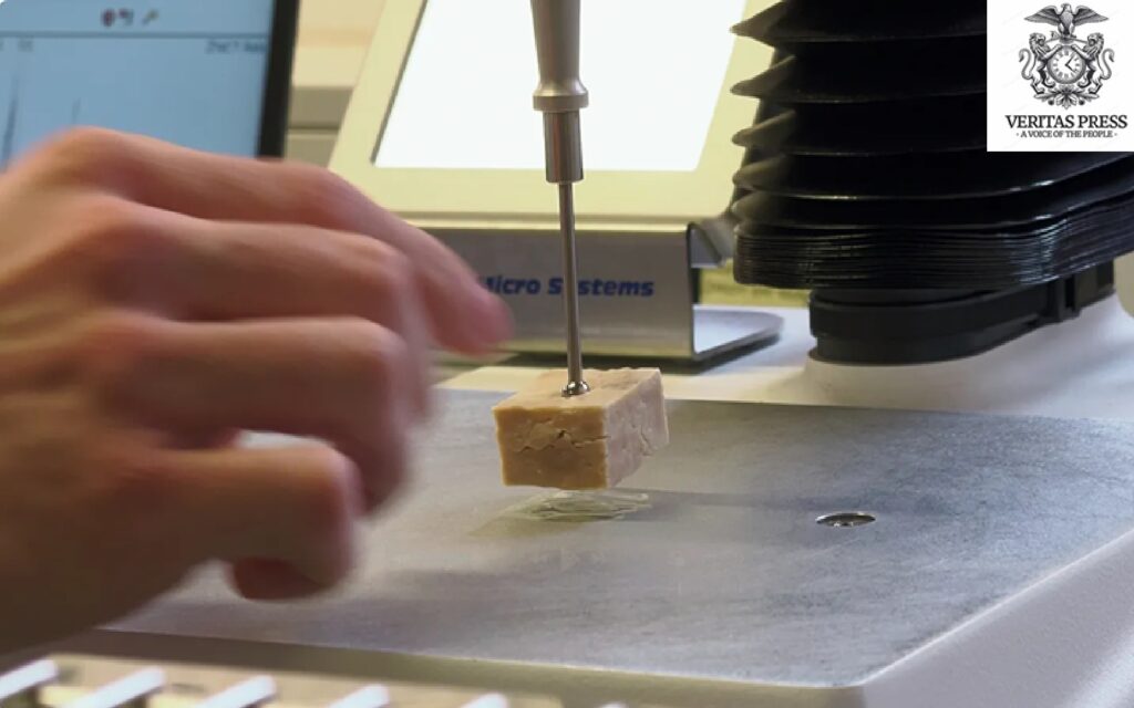 Lab-Grown Proteins For A Hungry World, Made In Europe.