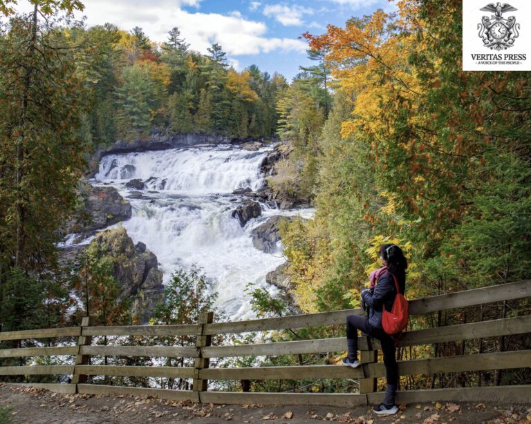 How Donald Trump Will Come After Canada Next: With Corporate Lobbyists.