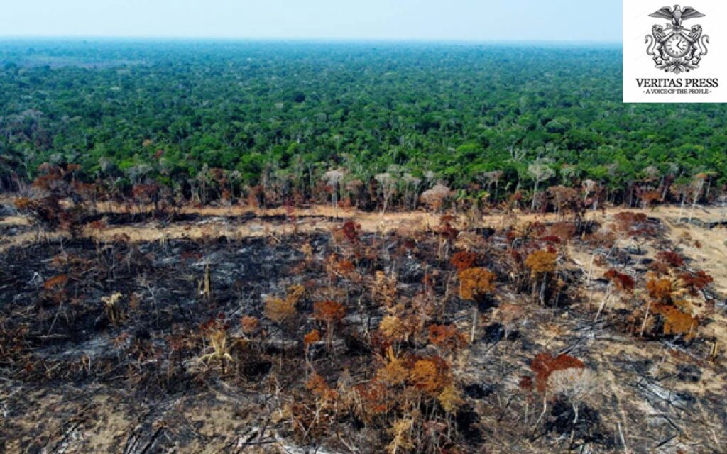 Deforestation Dries Southern Amazon: Flying Rivers Fade And Rainfall Collapses Under Tree Loss.