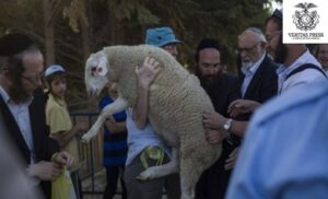 JERUSALEM, THIRD TEMPLE: ‘Red Lines Crossed’ – Inside The Far-Right Push To Sacrifice At Al-Aqsa And The Creeping Annexation Of Jerusalem Under Cover Of War.