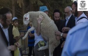 JERUSALEM: Escalation At Al-Aqsa Mosque: Record Attempts To Introduce Sacrificial Rituals Amid Prolonged Closure Of Holy Sites, And The Quiet Reshaping Of Jerusalem’s Status Quo.